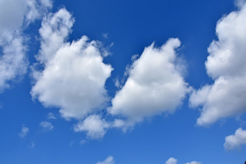 Obraz na płótnie Canvas 雲と青空