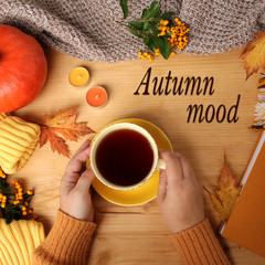female hands holding a cup of hot tea or coffee, autumn flat in the Scandinavian hugg style, with yellow leaves, cozy knitwear, pumpkin and berries