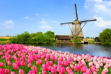 Rolgordijnen Traditionele Nederlandse windmolen langs een kanaal met roze tulpenbloemen op de voorgrond, Nederland © Jenifoto