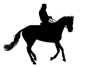 Fototapeta na wymiar rider on a horse galloping at a reduced gallop, black isolated silhouette on a white background