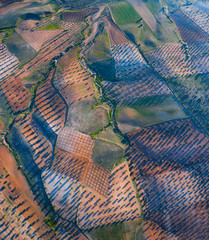 Aerial view of olive groves and cereal fields, Toledo, Castilla-La Mancha, Spain, Europe