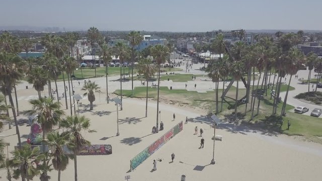 Venice Beach Flyover Palm Trees Drone Shot (Ungraded)