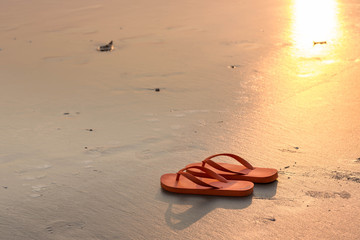 Sandals on a beach. Summer vacation concept, Orange Flip flops on a sandy ocean beach. Stylish flip flops on sand near sea, space for text. Beach accessories.
