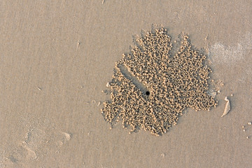 burrow of ghost crab on sand beach. art architecture from nature live. crabs hole and sand ball. natural art on sea beach. image for background, wallpaper and copy space.