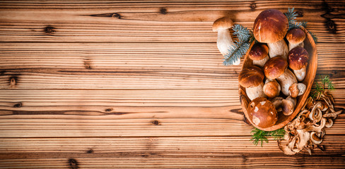 Fresh boletus mushrooms in basket and dry mushroom on wooden rustic table, overhead shot.