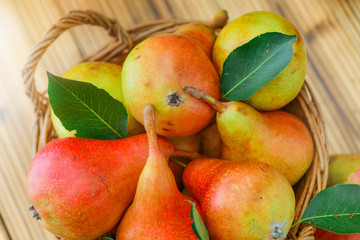 Fresh ripe pears with leaves in on wooden background. Beautifulp Pear fruits in wicker basket.