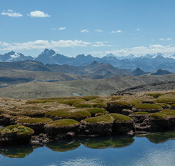 Fototapeta na wymiar Pond and moss at National Park Huascaran Peru South America Andes. Mataraju Jungay. Cordillera Blanca