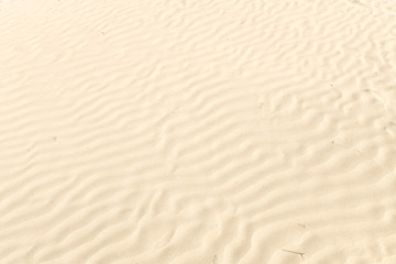 sand texture on the beach