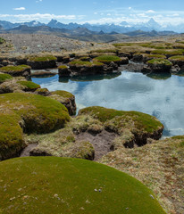 Fototapeta na wymiar Pond and moss at National Park Huascaran Peru South America Andes. Mataraju Jungay. Cordillera Blanca
