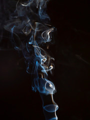 Fototapeta premium OLYMPUS DIGITAL CAMERA