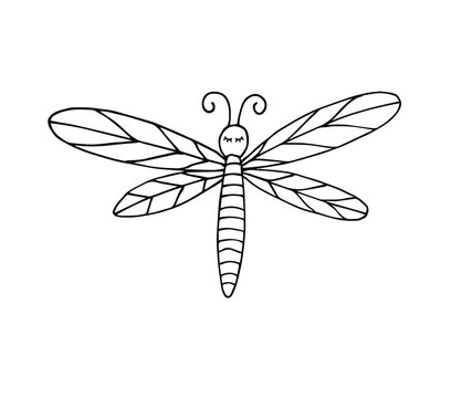 Vector hand drawn doodle sketch black dragonfly isolated on white background