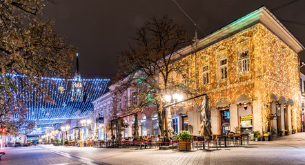 Fototapeta na wymiar Winter holidays in Novi Sad