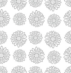 Vector seamless pattern of hand drawn doodle sketch daisy chamomile flower isolated on white background