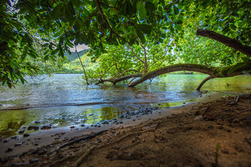 Baie d 'Opunohu à Moorea