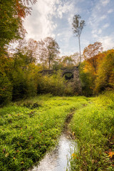 Devil's Bridge in Czerna, Poland, river flowing through the autumn forest