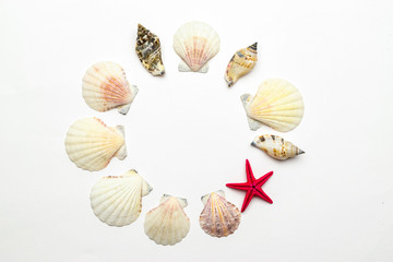 Summer time concept with natural organic color sea shells and starfish on white background, copy space. Flat lay, top view
