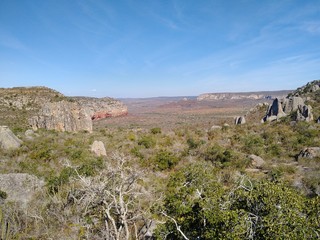 Fototapeta premium View of Caatinga in Brazil