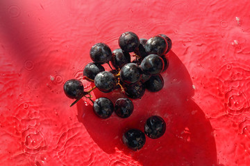 Black or purple juicy grapes in the background of wine or juice. Splash from the fall, top view. Natural organic product. Agriculture or winemaking concept.