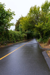 Galloping Goose Trail