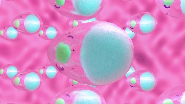 3D animation of adipocytes that increase due to the huge number of fat molecules. Obesity or the problem of cellulite from a scientific point of view.