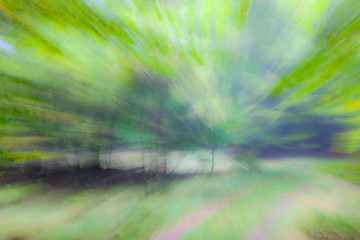 summar forest on a bright sunny day. Abstract photo. Colorful textured background. long shutter speed.