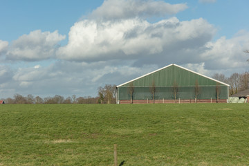 Obraz premium farmland in Netherlands