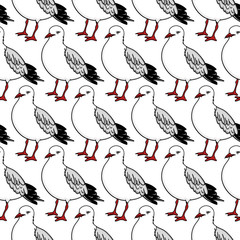 Vector seamless pattern with seagulls