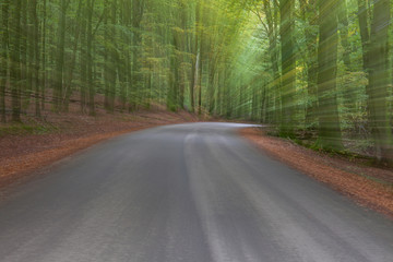 summar forest road on a bright sunny day. Abstract photo. Colorful textured background. long shutter speed.