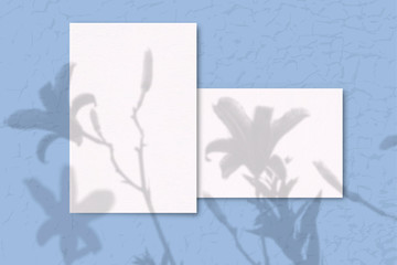 2 Sheets of white texture paper on a blue background. Mockup with overlay of plant shadows . Natural light casts the shadow of field plants and flowers from above