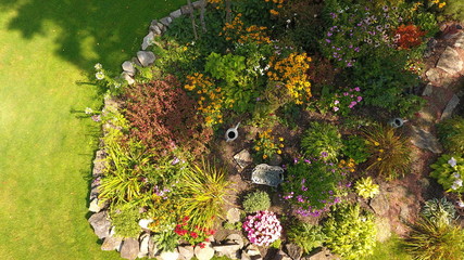 Summer Garden