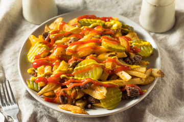 Homemade Loaded Cheeseburger Cheese Fries