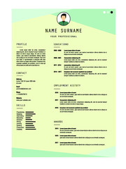 best resume template vector design for job application
