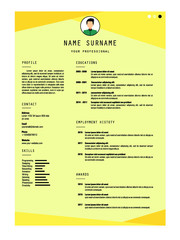 best resume template vector design for job application