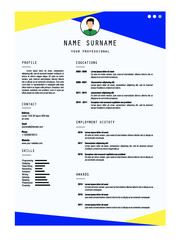 best resume template vector design for job application