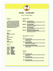 best resume template vector design for job application