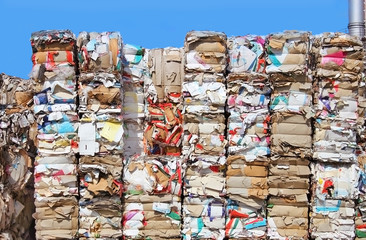 Endless stock paper