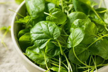 Raw Green Organic Watercress