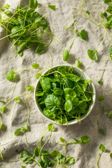 Raw Green Organic Watercress