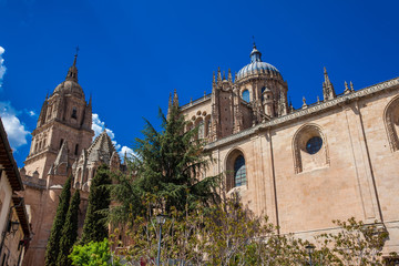 Fototapeta na wymiar View of the Salamanca Cathedral from the beautiful Arcediano street