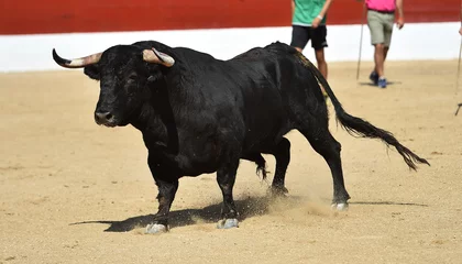 Fotobehang a strong bull running on a traditional spectacle of bullfight  © alberto