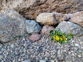 stone wall background