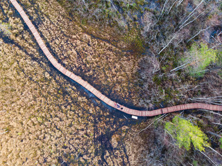 Aerial view of wooden walkway on the territory of Sestroretsk swamp, ecological trail path - route walkways laid in the swamp, reserve 