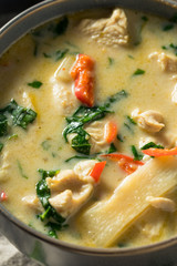Homemade Spicy Thai Coconut Green Curry
