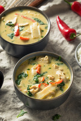 Homemade Spicy Thai Coconut Green Curry