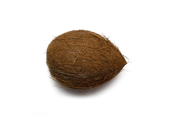 whole coconut fruit on an isolated white background