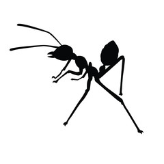 Ant silhouette vector, insect wildlife