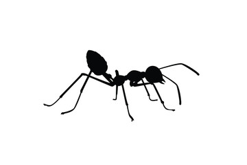Ant silhouette vector, insect wildlife