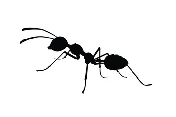 Ant silhouette vector, insect wildlife