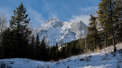 Fototapeta premium Snow covered Rocky Mountain peak in the forest beautiful Canada landscape