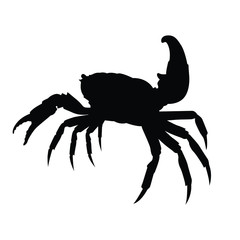 Crab silhouette vector, animal wildlife